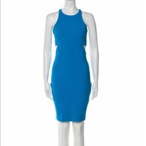 NWT TheRealReal, Elizabeth and James Dress,